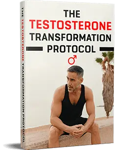 The Testosterone Transformation Protocol digital guide